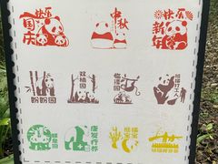 -都江堰中华大熊猫苑