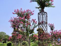 -武汉紫薇都市田园