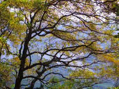 -五女山景区