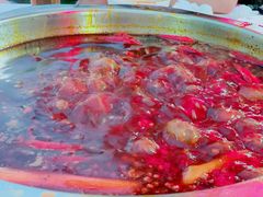 -枇杷园食为鲜火锅(南山店)