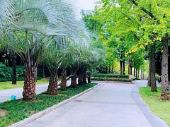 -苏州河梦清园环保主题公园