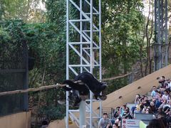 -清迈夜间动物园