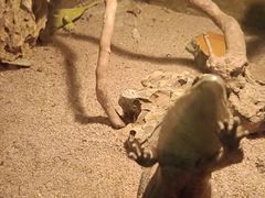 -蓬莱欧乐堡海洋极地世界