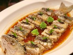 远年太雕陈皮蒸鲻鱼-杭州和达希尔顿逸林酒店·和园中餐厅-杭帮菜名店