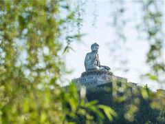 -龙口南山旅游景区
