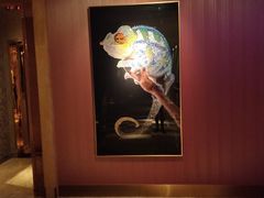 -纯K(打浦桥店)