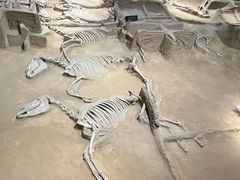 -洛阳周王城天子驾六博物馆