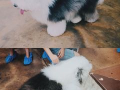 -TrueLove @ Neverland (Husky Cafe)