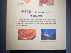 -辽宁古生物博物馆