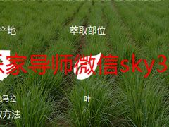 -美乐家健康生活馆(北京旗舰店)