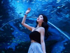 -海合安成都极地海洋公园