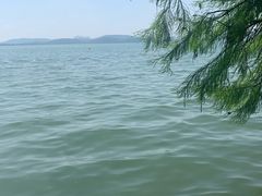 -湖滨客舍·湖北菜