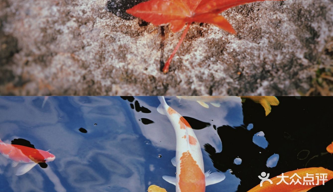 斜塘老街，一个很姑苏的地方