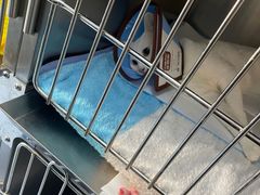 -嘉馨宠物医院·CT影像转诊·心脏科·犬猫全科诊疗中心(下沙大学城院区)