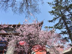 -五台山风景名胜区