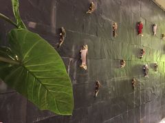 -百顺国际健身会所(青枫墅园店)