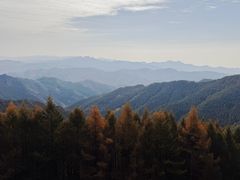 -苏木山森林公园
