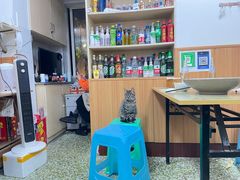 店里的小猫咪-豆花饭(新华路店)