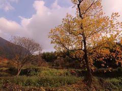-塔川景区
