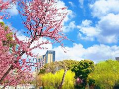 -新江湾城公园