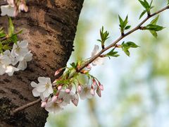 -宁波大学附属第一医院(外滩院区)