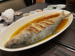 蒸鲥鱼-广州文华东方酒店·江-由辉师傅主理