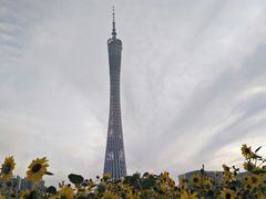 -珠江夜游广州塔·中大码头