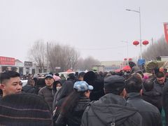 -蒲河大集
