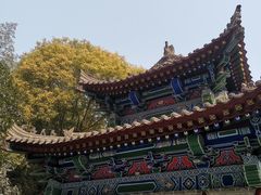 -罔极寺