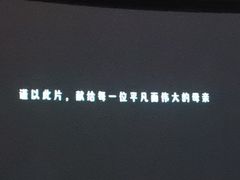 -枫花园汽车电影院(朝阳公园店)