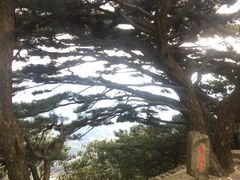 -罗田薄刀峰风景区