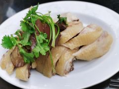 -文昌鸡饭店110号(中山路店)