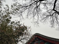 -恭王府博物馆