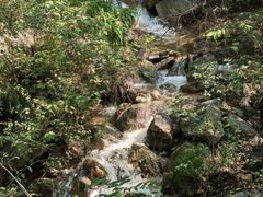 -大岭沟猕猴桃谷风景区