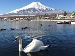 -富士山吉田線五合目