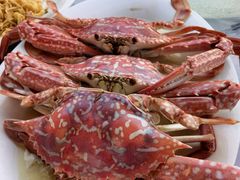 -明润海鲜(南边海店)