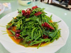 炝拌丝瓜尖-上庄晋风庄园(上庄店)
