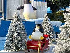 -汕头中海黄金海岸水上乐园