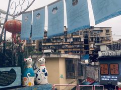 -猫咪博物馆(顶澳仔猫街店)