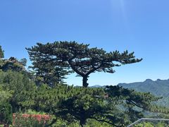 -圣莲山风景区