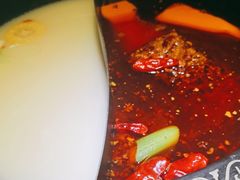 -七秒鱼·斑鱼火锅(太阳城店)