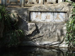 -蝴蝶泉公园