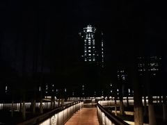 -月湖风景区