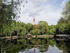 -黑龙江省森林植物园