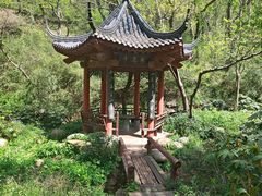 -句容茅山景区