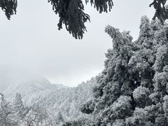 -南岳衡山风景名胜区