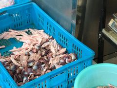-杨震卤菜旗舰店