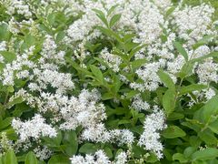 -东方体育中心(地铁站)