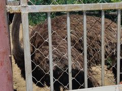 -河北村民俗体验园