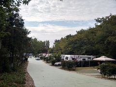 -汤山温泉房车营地 茶温泉